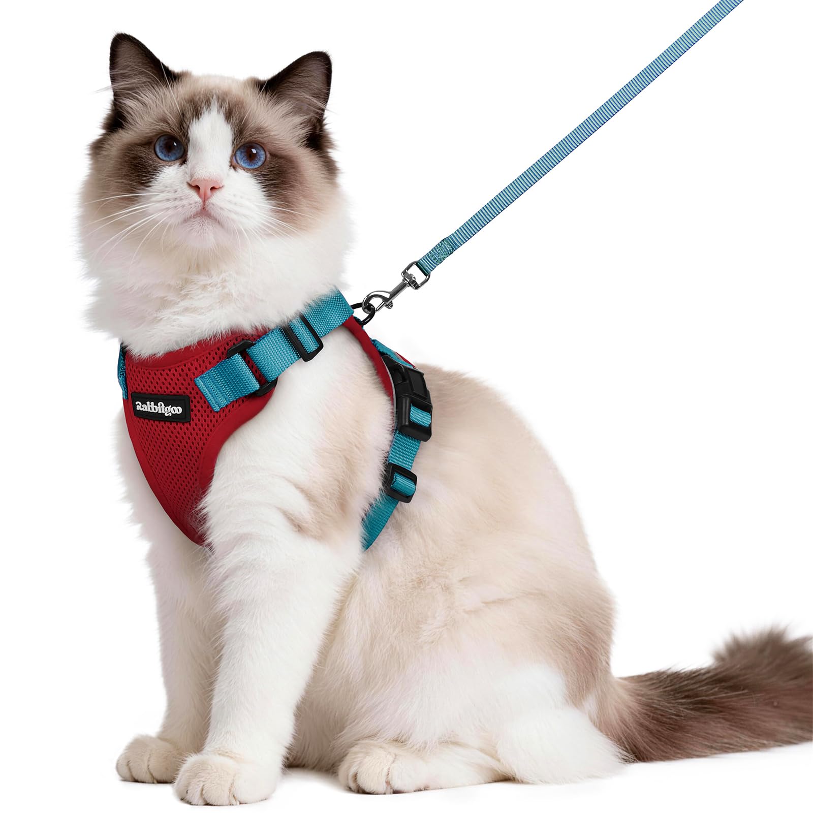 Rabbitgoo cat harness with back D-ring for secure outdoor walks.