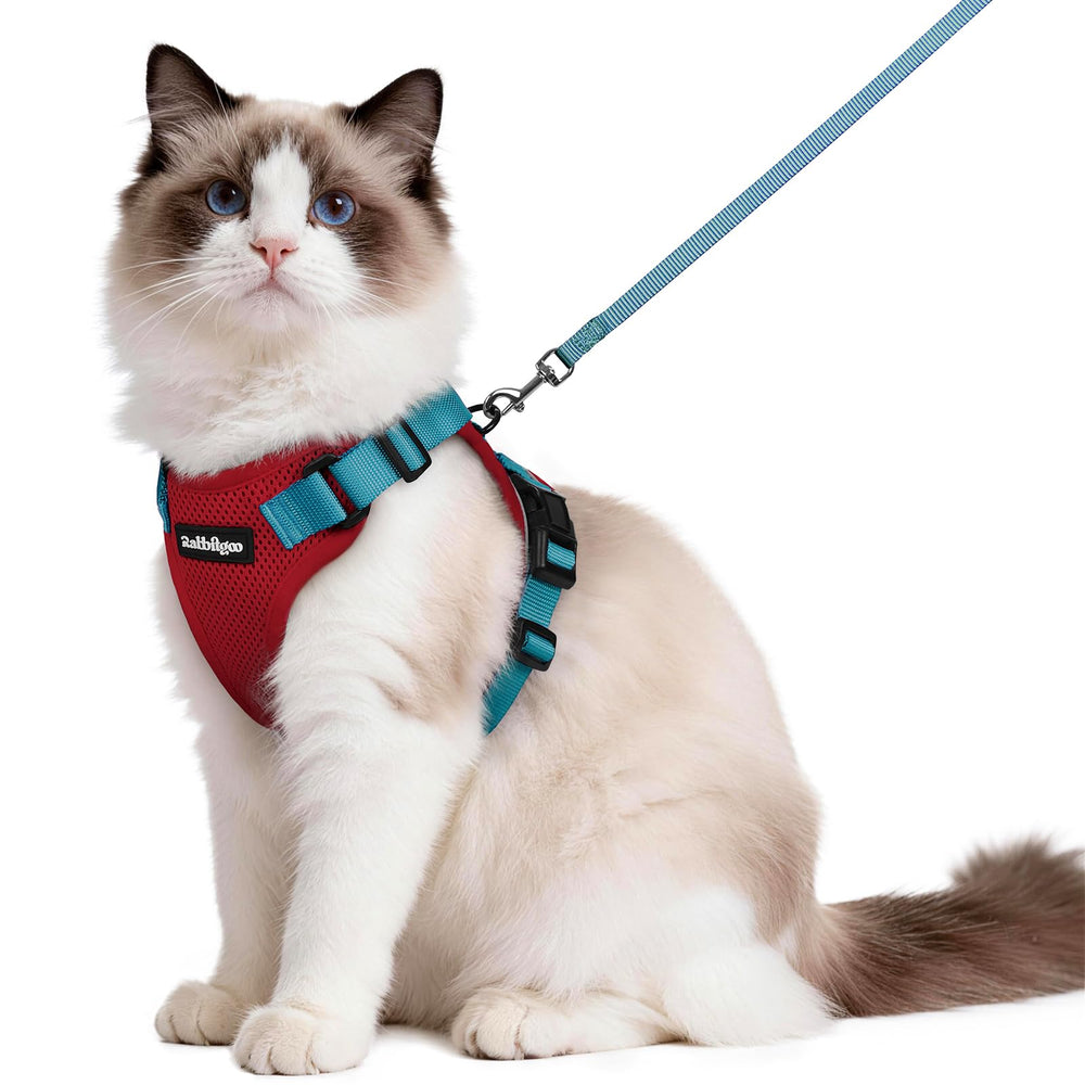 Rabbitgoo cat harness with back D-ring for secure outdoor walks.