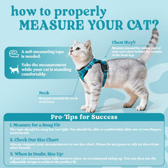 Rabbitgoo cat harness back D-ring provides secure leash control during walks.
