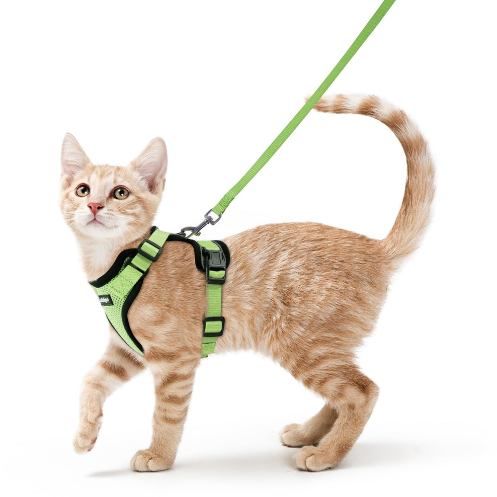 Rabbitgoo cat harness back D-ring for secure leash control during walks