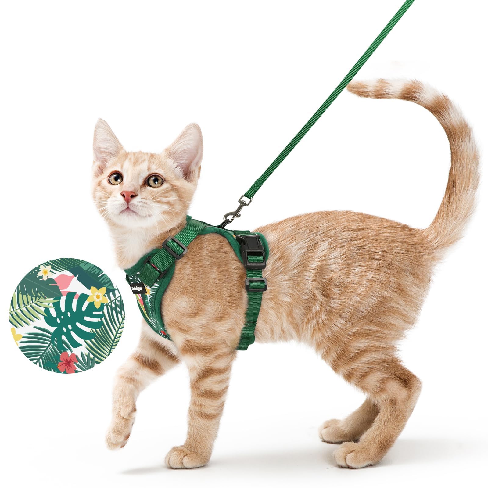 Rabbitgoo cat harness with back D-ring for secure leash control during outdoor walks