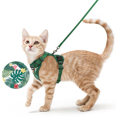 Rabbitgoo cat harness with back D-ring for secure leash control during outdoor walks