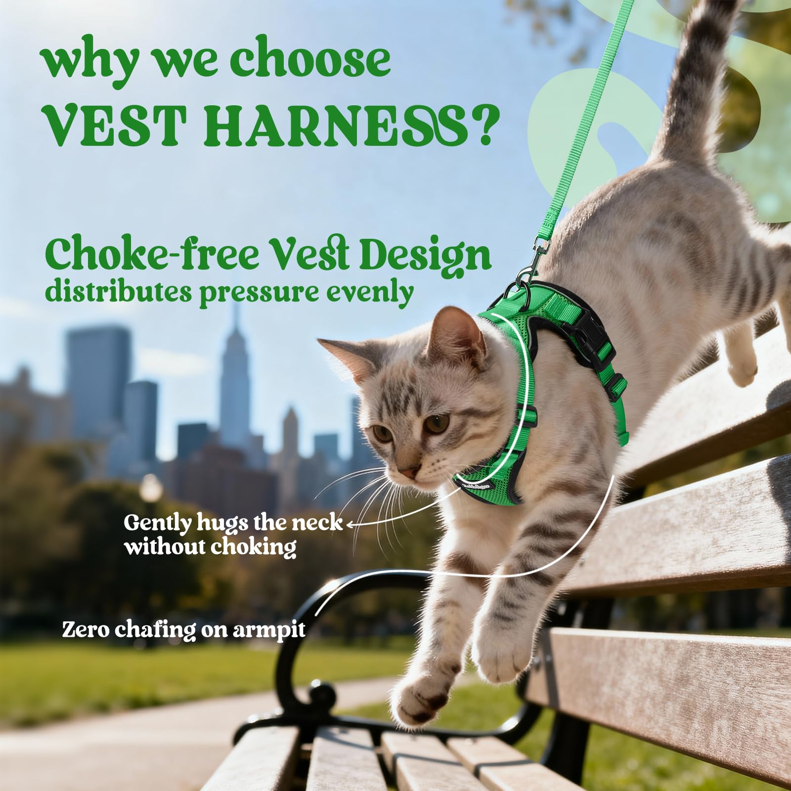 Rabbitgoo cat harness back D-ring keeps leash control secure