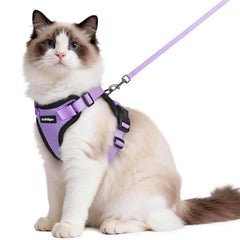 Rabbitgoo cat harness with back D-ring offers secure outdoor control.