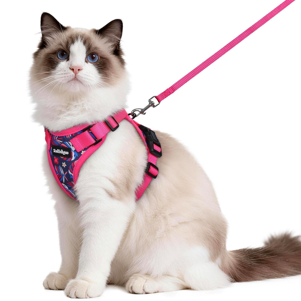 Rabbitgoo cat harness with back D-ring for secure leash control during outdoor walks.