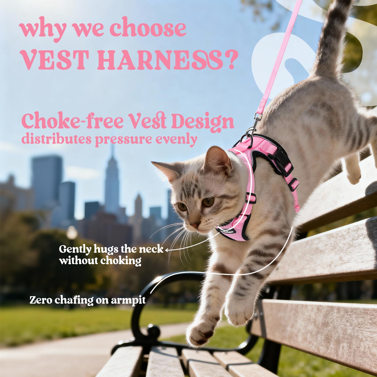 Rabbitgoo cat-harness back D-ring offers reliable leash control