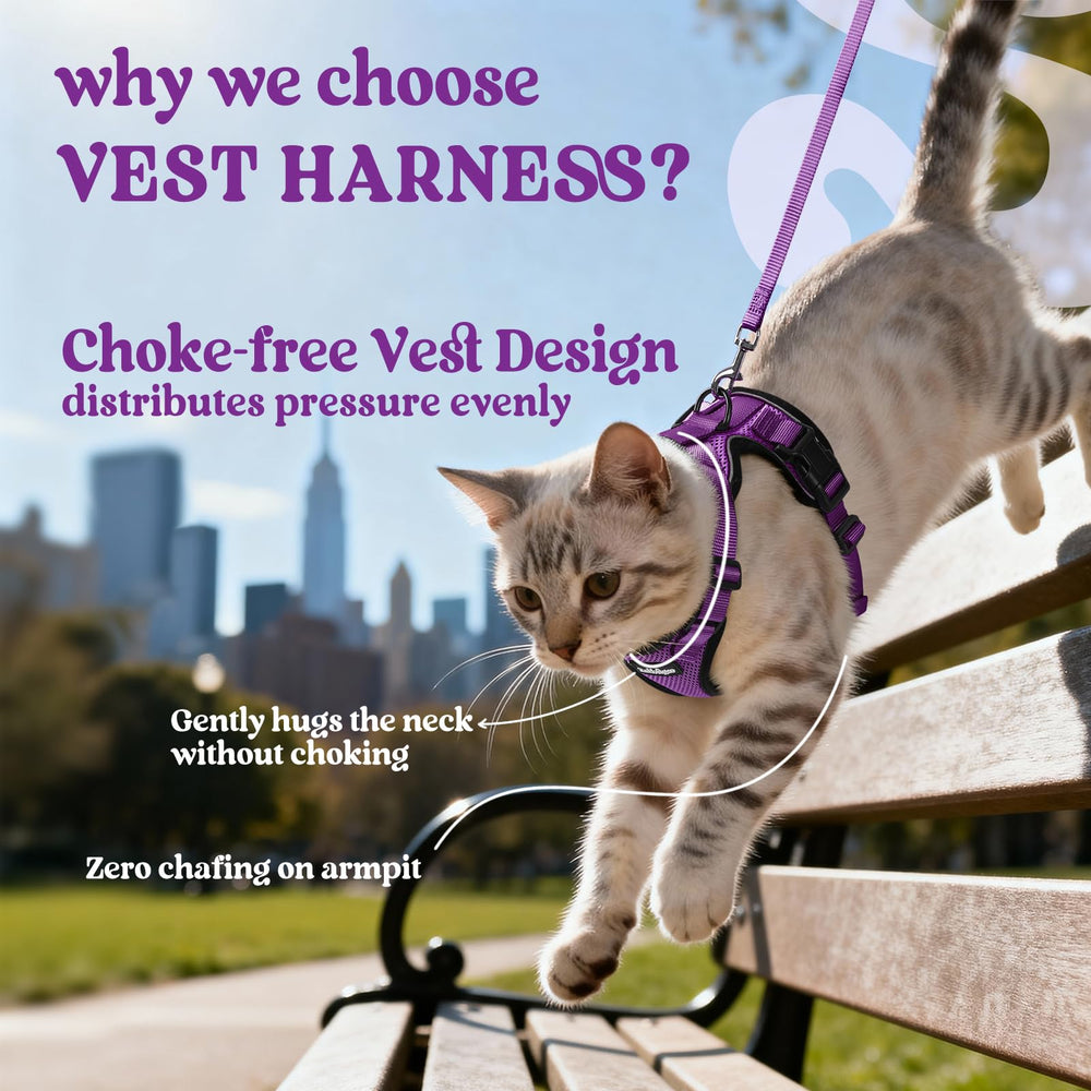 Rabbitgoo harness shows back D-ring for reliable leash control.