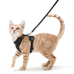 Rabbitgoo cat harness back D-ring provides secure leash control on outdoor walks.