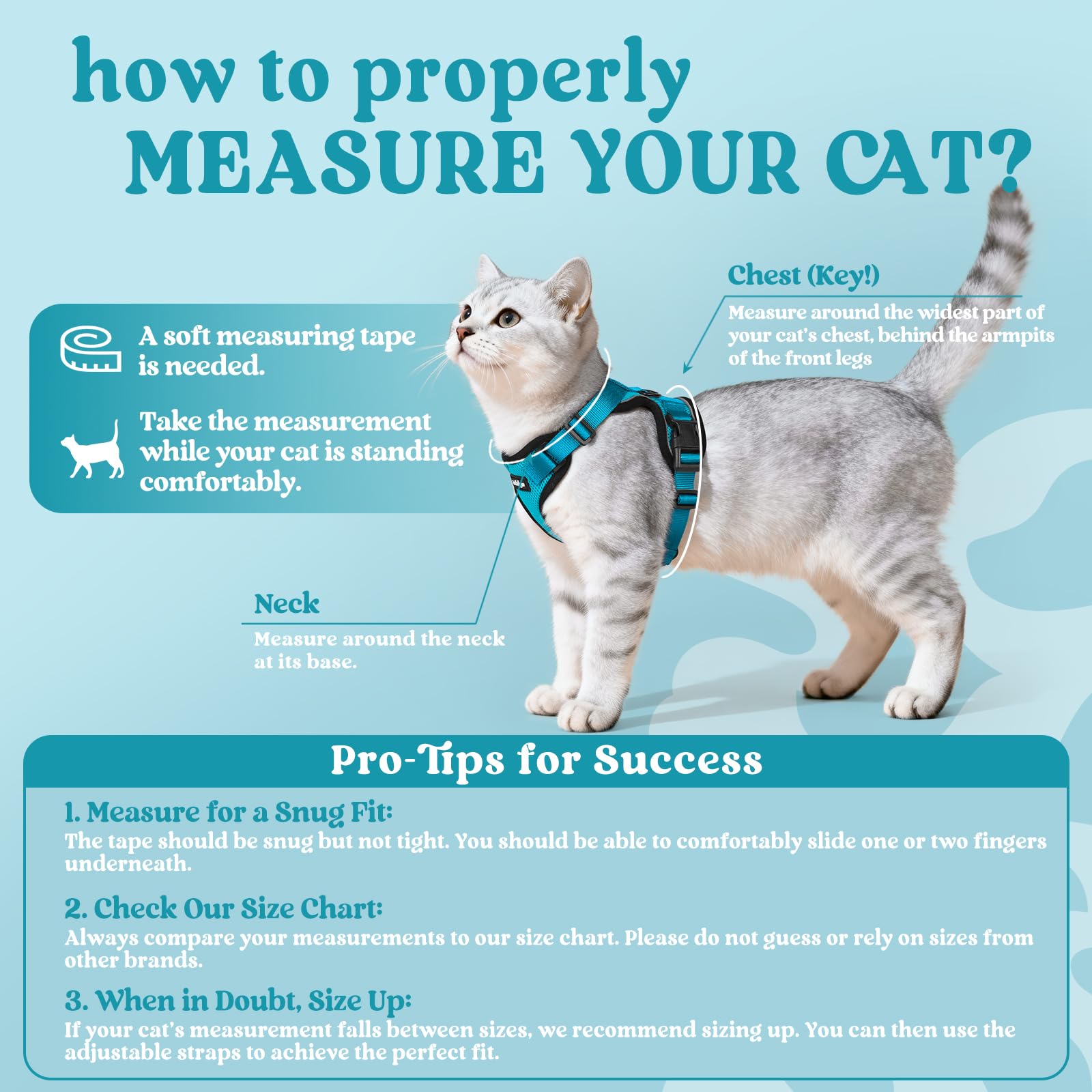 Breathable air-mesh vest keeps cat cool during walks.