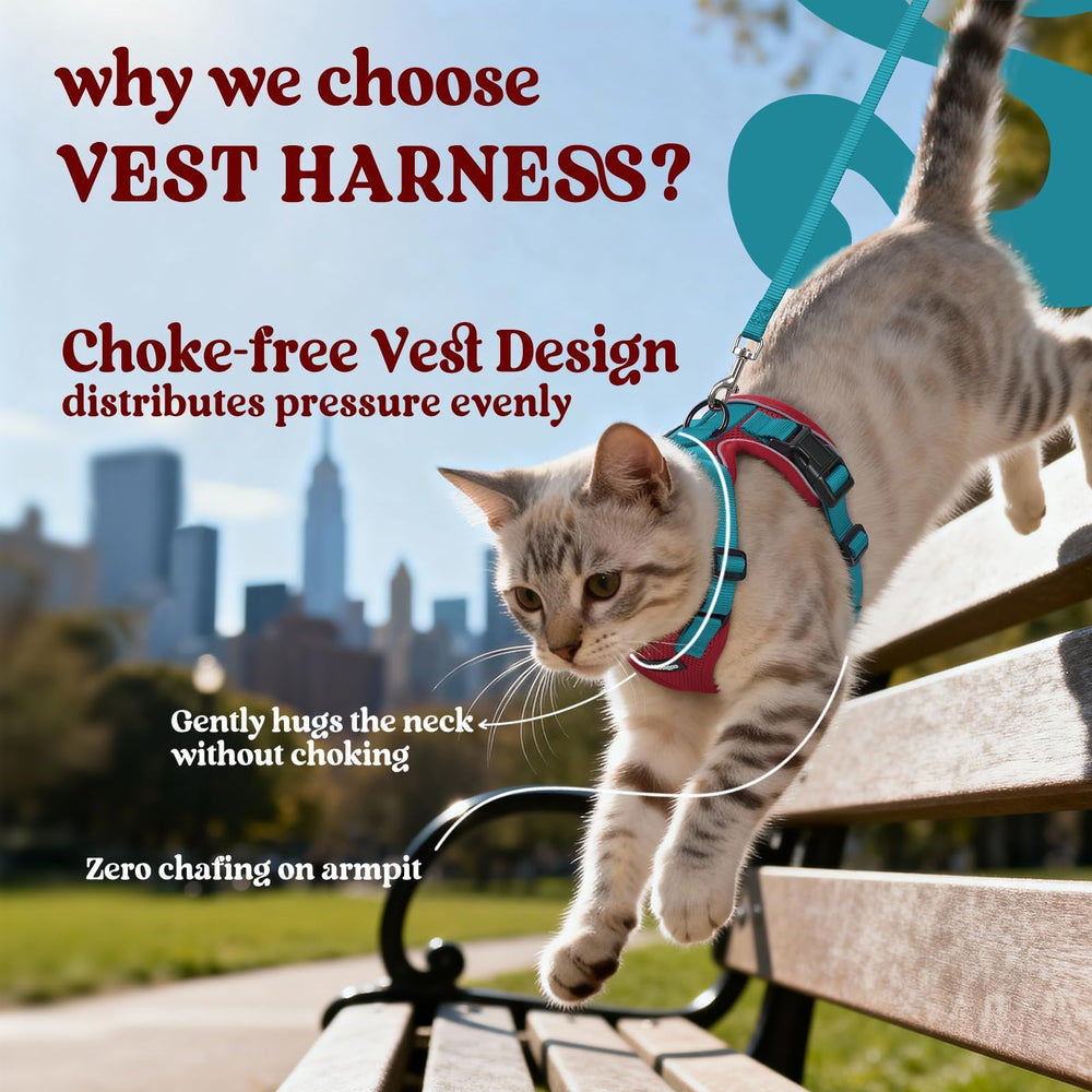 Rabbitgoo breathable air-mesh harness keeps your cat cool on hot days.
