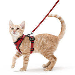 Rabbitgoo cat harness with breathable air mesh for cool, comfy walks.