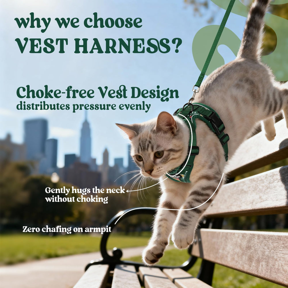 Rabbitgoo breathable air-mesh keeps your cat cool on sunny strolls