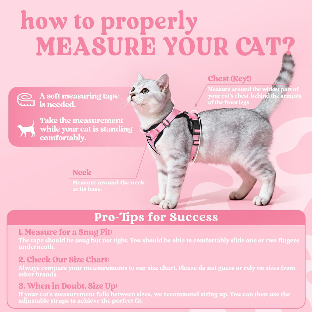 Rabbitgoo cat-harness breathable air-mesh keeps kitty cool