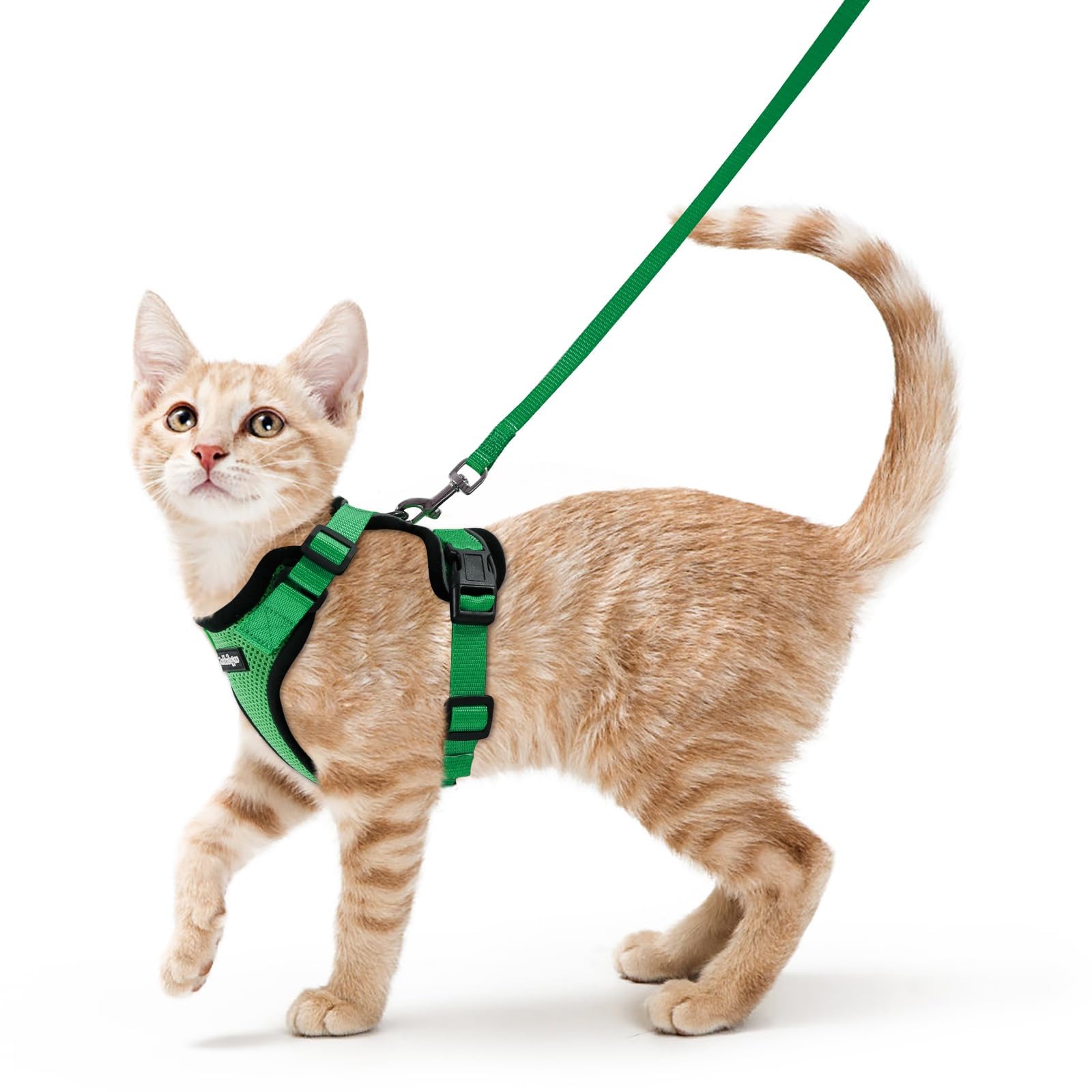 Rabbitgoo cat harness with breathable mesh for comfortable outdoor walks
