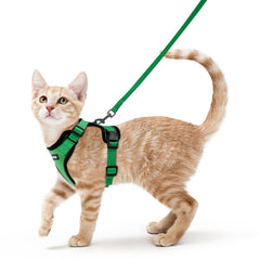 Rabbitgoo cat harness with breathable mesh for comfortable outdoor walks