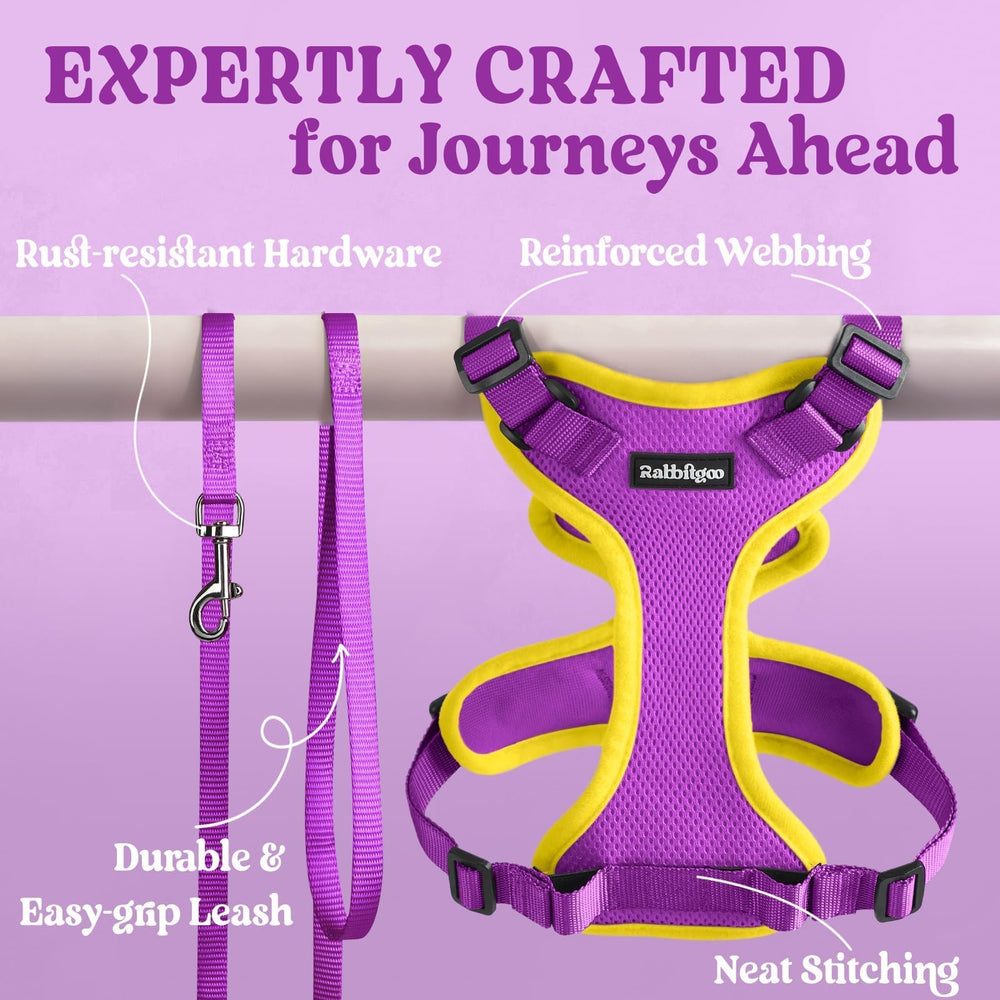 Vibrant purple and yellow Rabbitgoo harness adds stylish outdoor flair.