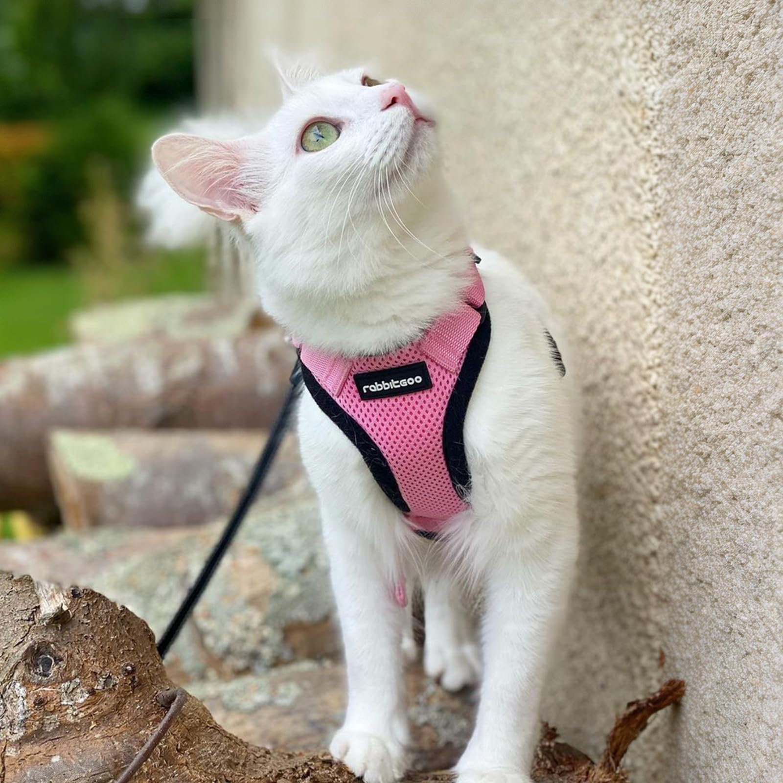 Rabbitgoo pink chest-strap view highlights safety and comfort.