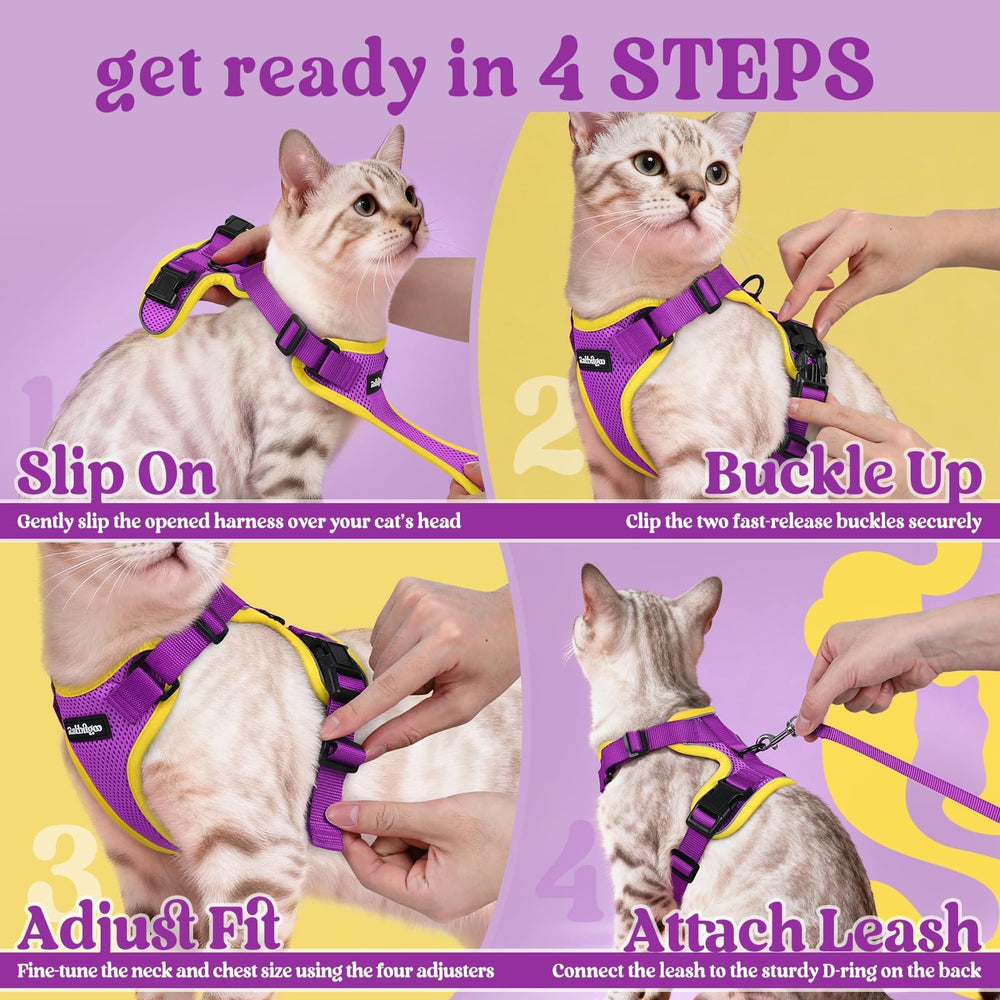 XS size Rabbitgoo harness for a compact, secure fit.