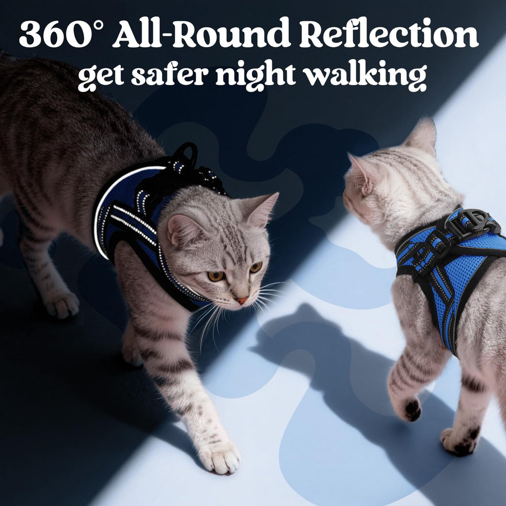 Rabbitgoo harness sturdy D-ring for reliable leash attachment