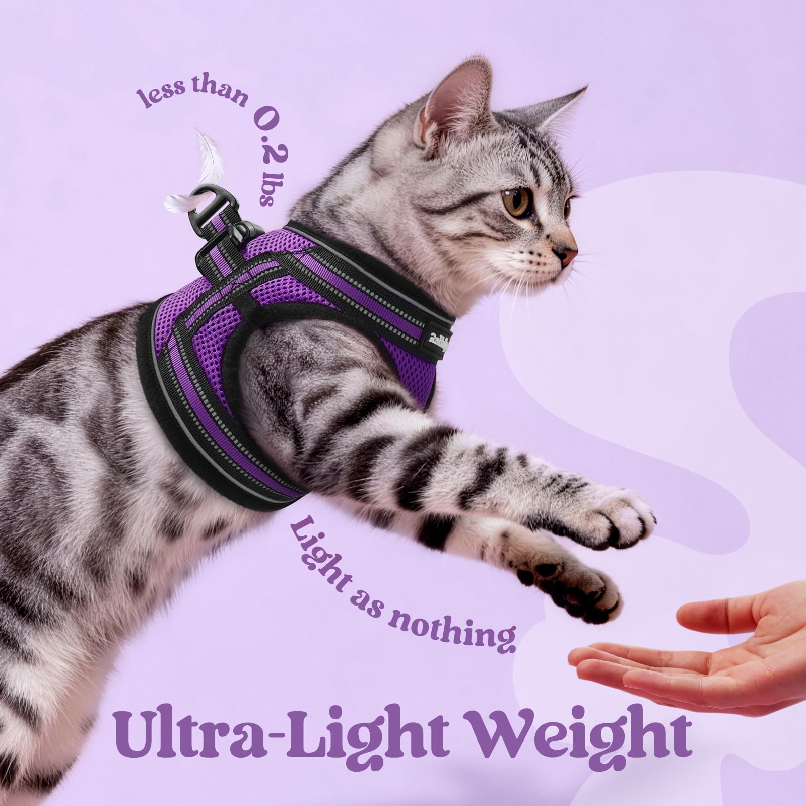 Rabbitgoo reflective strips help you spot your cat at night.