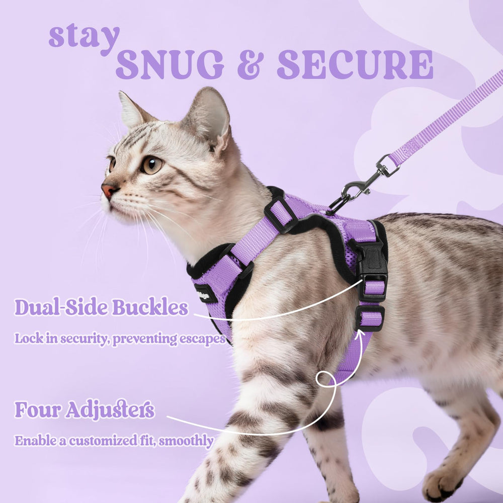 Rabbitgoo harness with dual quick-snap buckles for quick fastening