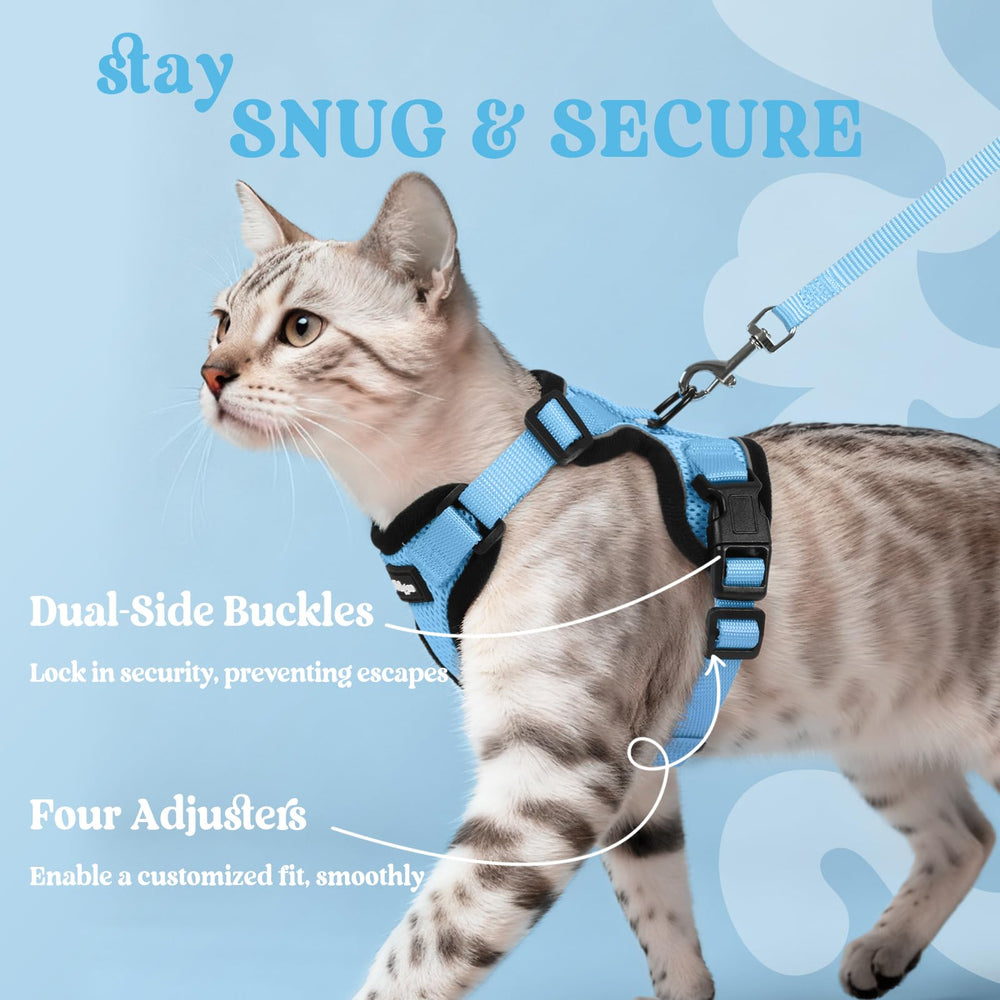 Durable quick-release buckles on the Rabbitgoo harness for easy on/off.