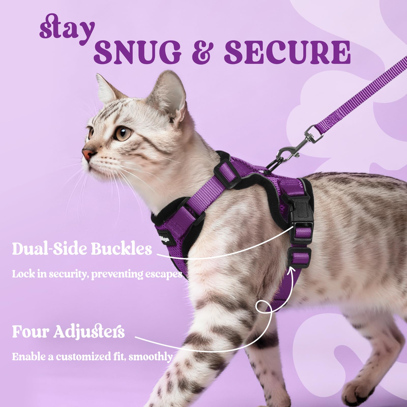 Rabbitgoo harness easy on-off design for fast cat dressing.