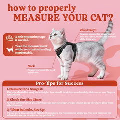 Rabbitgoo cat harness back D-ring for secure leash control outdoors.