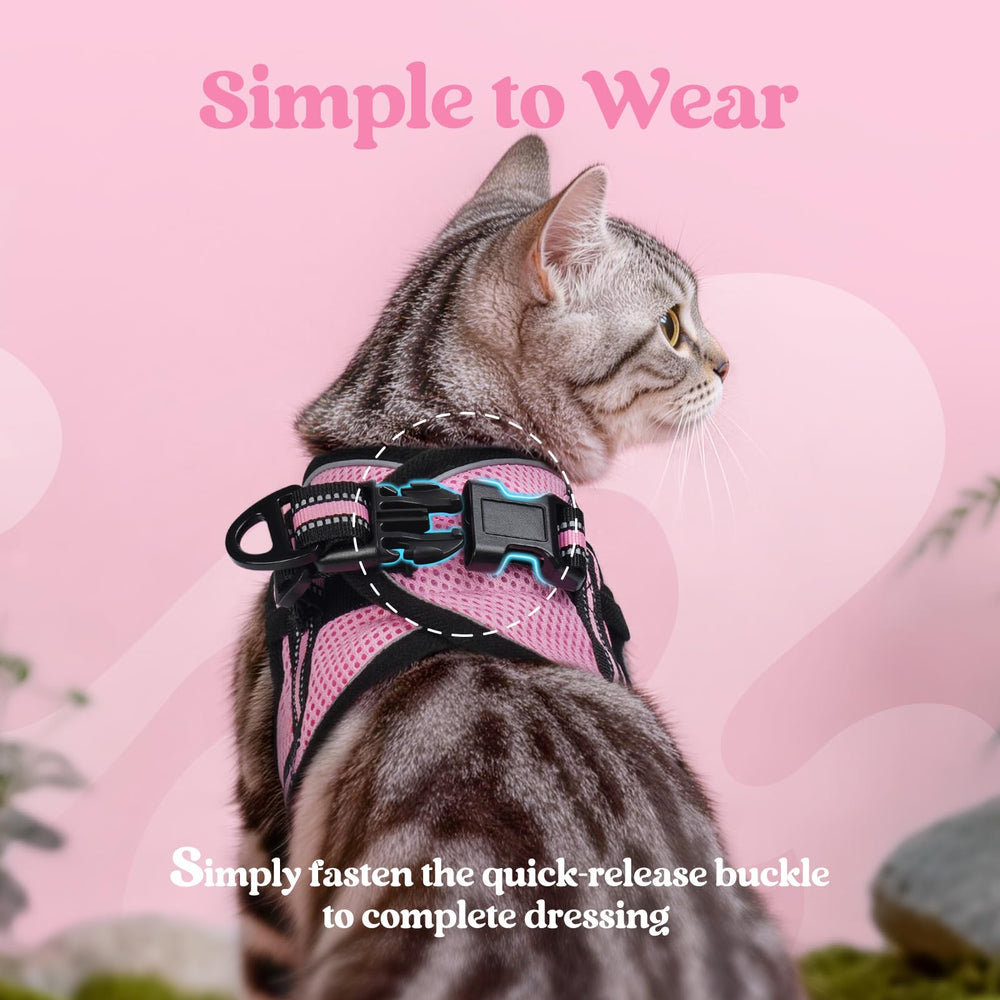 Rabbitgoo cat harness escape-proof fastener for confident exploration.