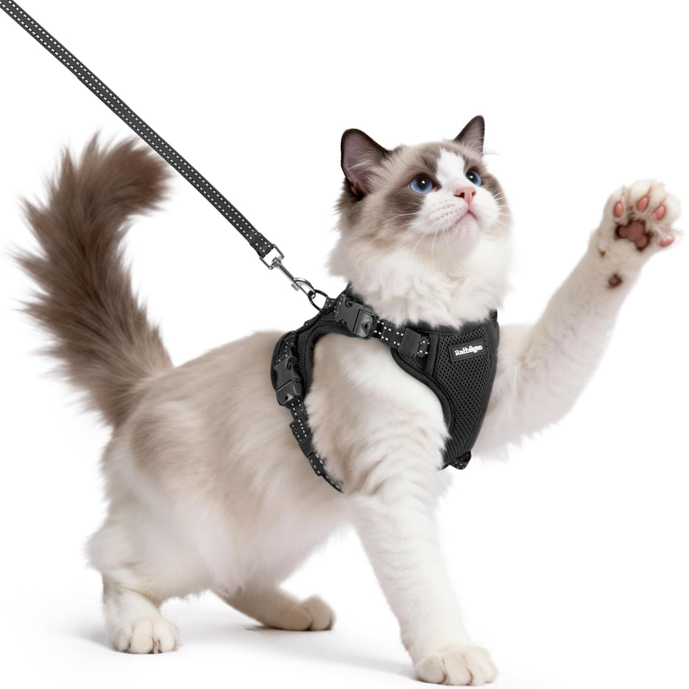 Rabbitgoo cat harness escape-proof vest in use for outdoor safety