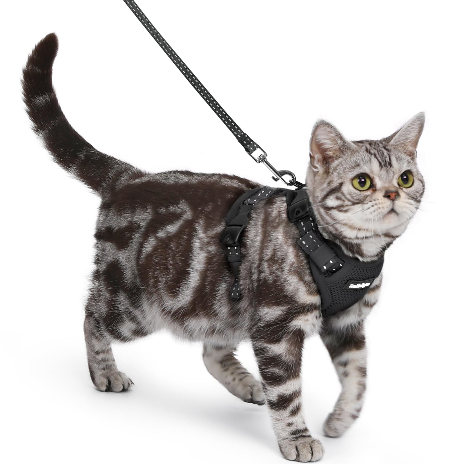 Rabbitgoo cat harness escape-proof vest for secure outdoor adventures.