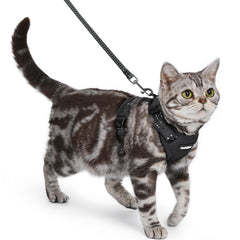 Rabbitgoo cat harness escape-proof vest for secure outdoor adventures.