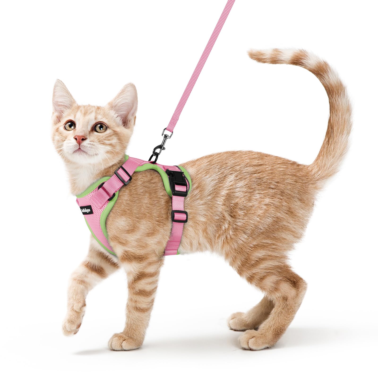 Rabbitgoo cat harness vest escape-proof design for secure outdoor walks