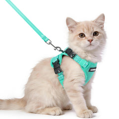 Rabbitgoo cat harness escape-proof vest with adjustable buckles for a secure, cozy stroll.