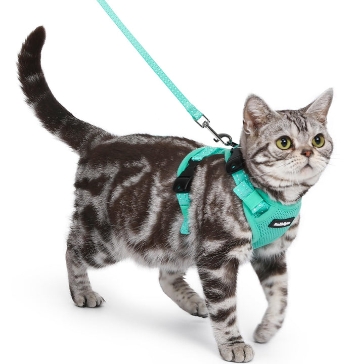 Rabbitgoo cat harness escape-proof design shown on a cat for safe outdoor walks.