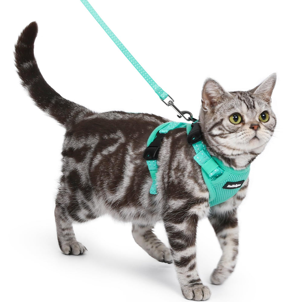 Rabbitgoo cat harness escape-proof design shown on a cat for safe outdoor walks.