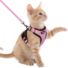 Rabbitgoo cat-harness escape-proof design secures walks