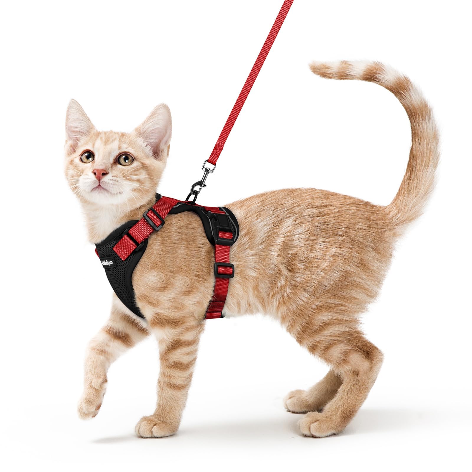 Rabbitgoo cat harness escape-proof design for secure outdoor outings.