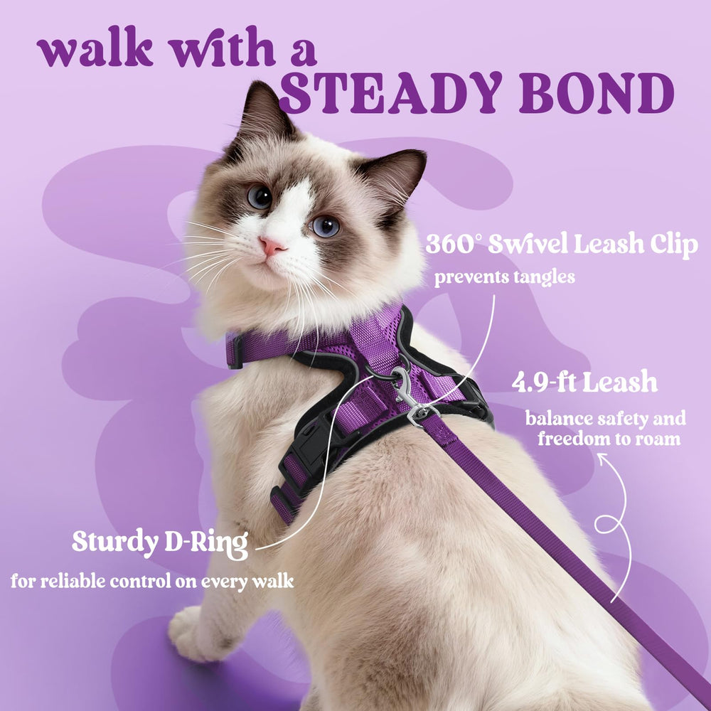 Rabbitgoo four adjustable straps ensure a snug, comfortable fit.