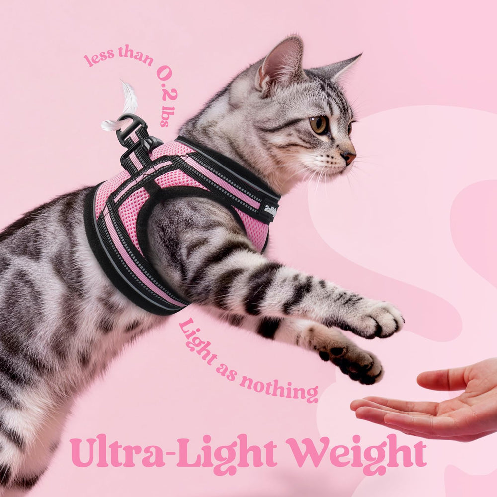 Rabbitgoo cat harness four adjustable straps for growth and fit.