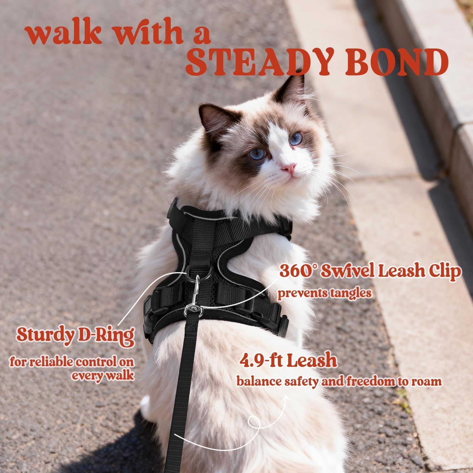 Rabbitgoo four adjustable straps customize the fit for each cat.