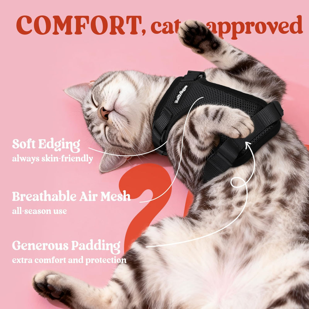 Rabbitgoo cat harness four adjustable straps customize fit for most cats.