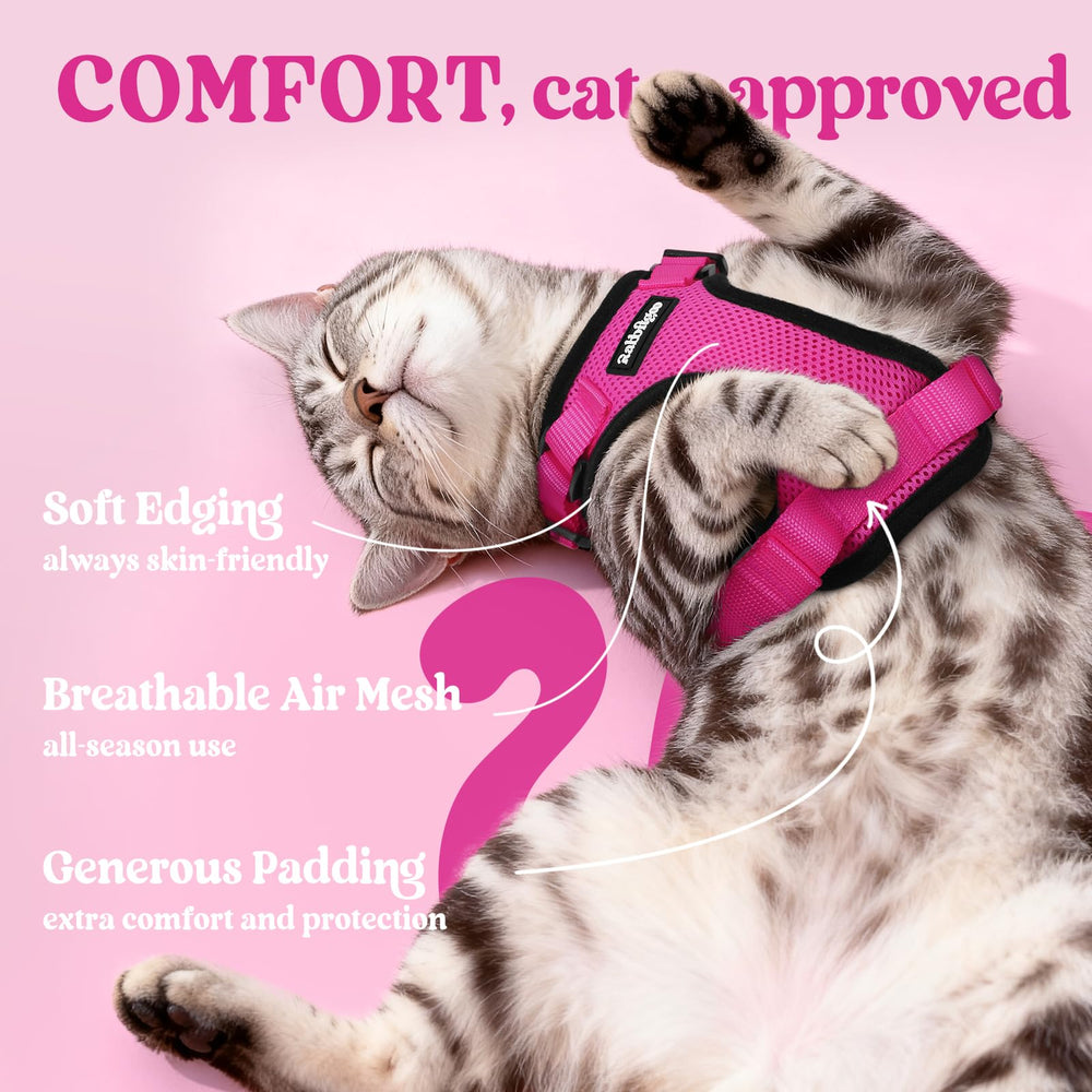 Rabbitgoo harness with four adjustable straps for a secure custom fit.