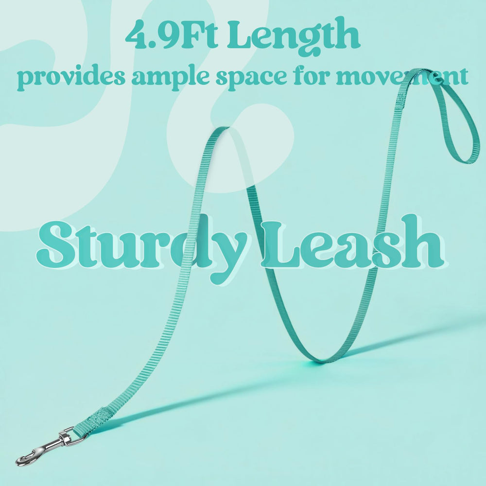 Rabbitgoo harness with four adjustable straps for a customizable fit.