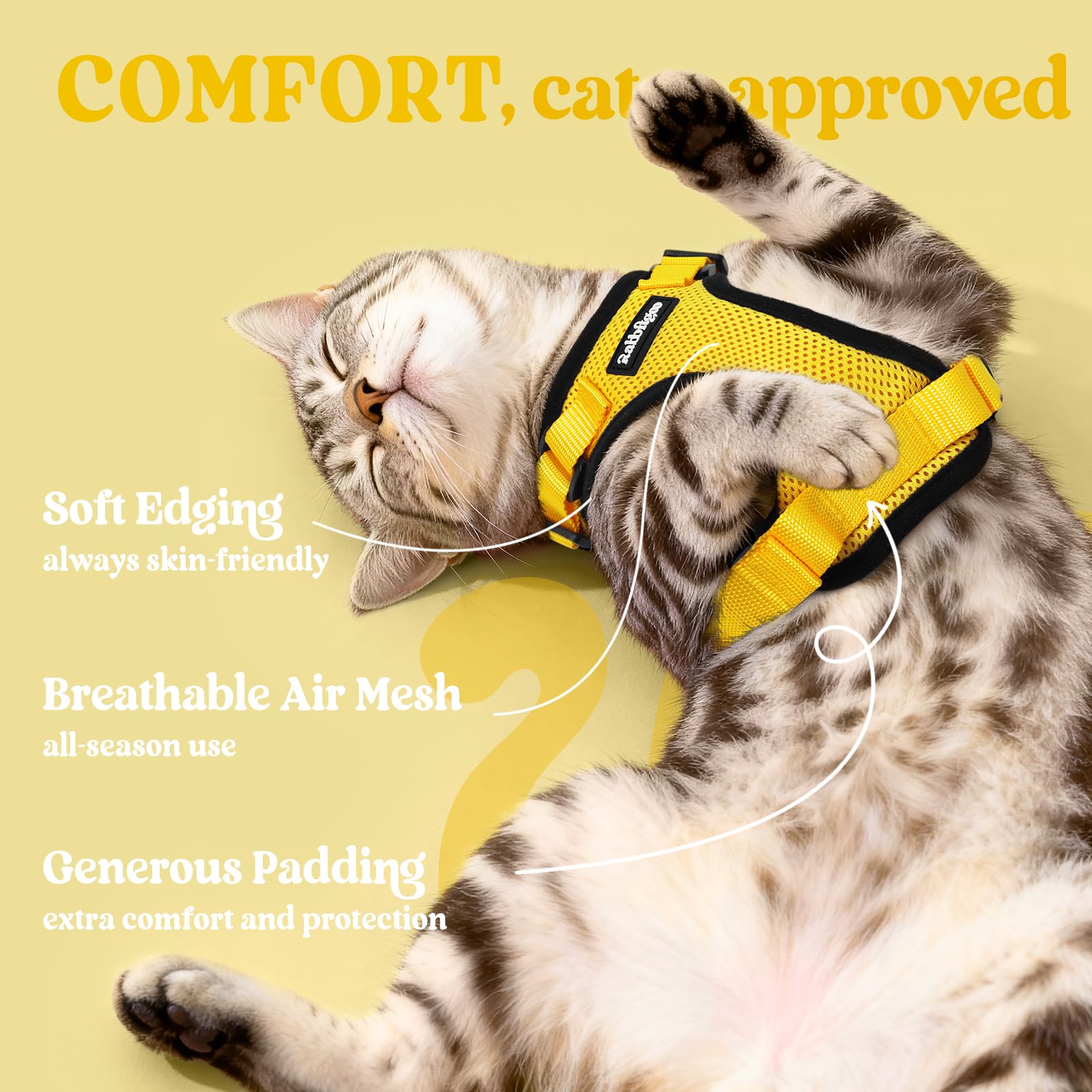 Rabbitgoo harness showing four adjustable straps for a secure fit.