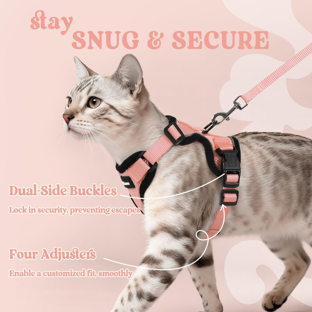 Rabbitgoo harness with four adjustable straps customizes fit for most cats.