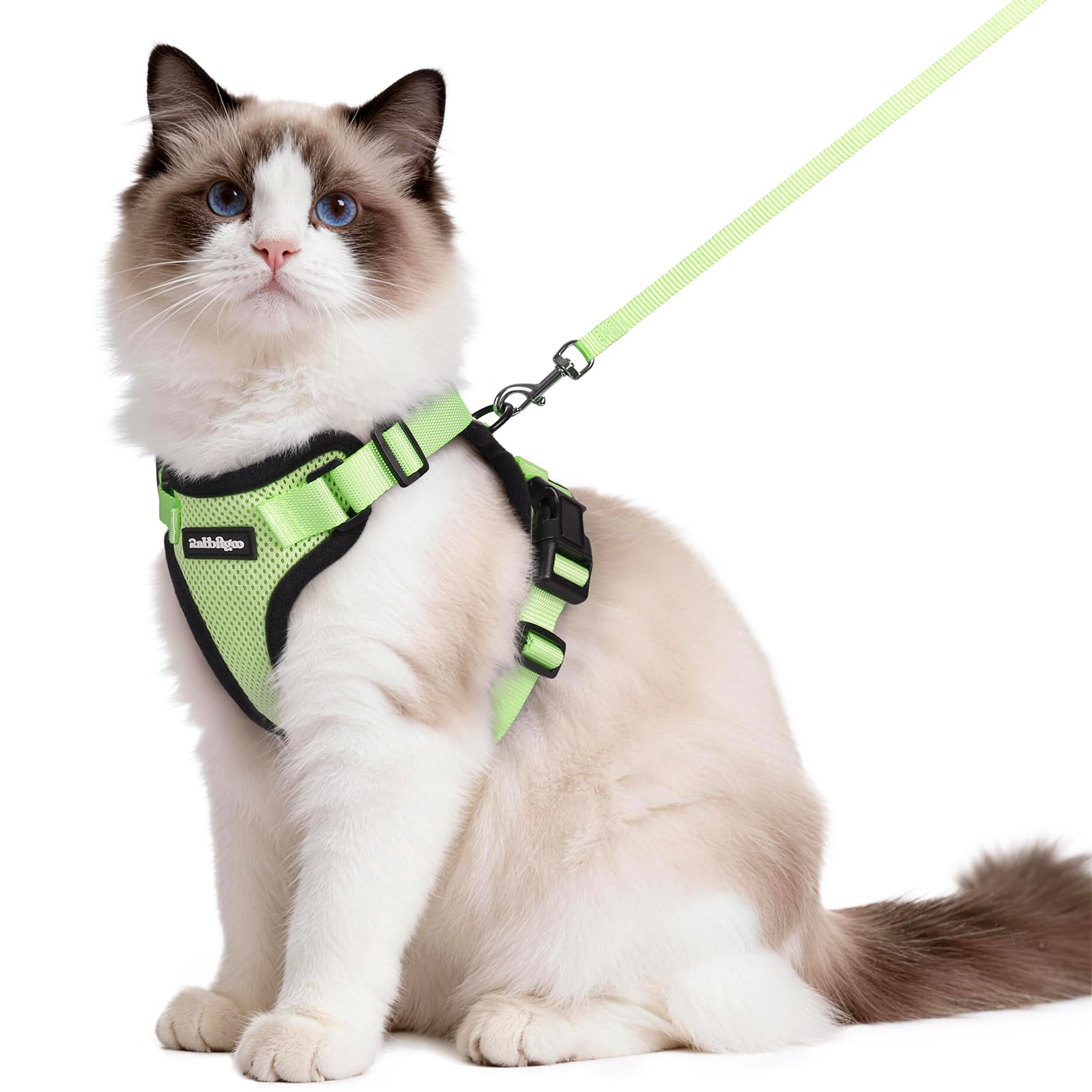 Rabbitgoo cat harness front D-ring shows escape-proof design for confident outdoor walks.