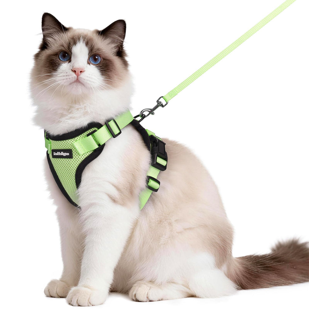 Rabbitgoo cat harness front D-ring shows escape-proof design for confident outdoor walks.