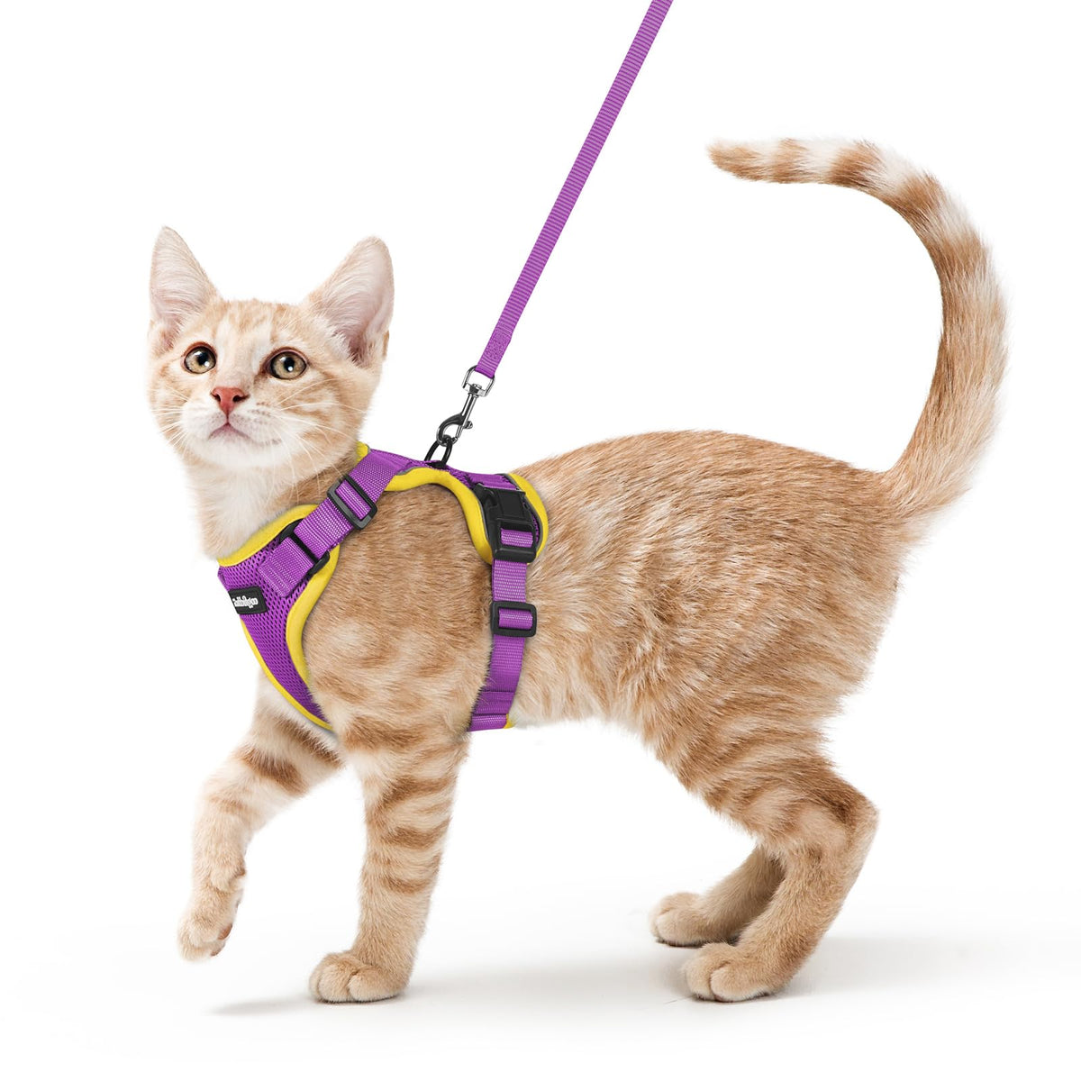 Rabbitgoo cat harness front view for secure outdoor walks.