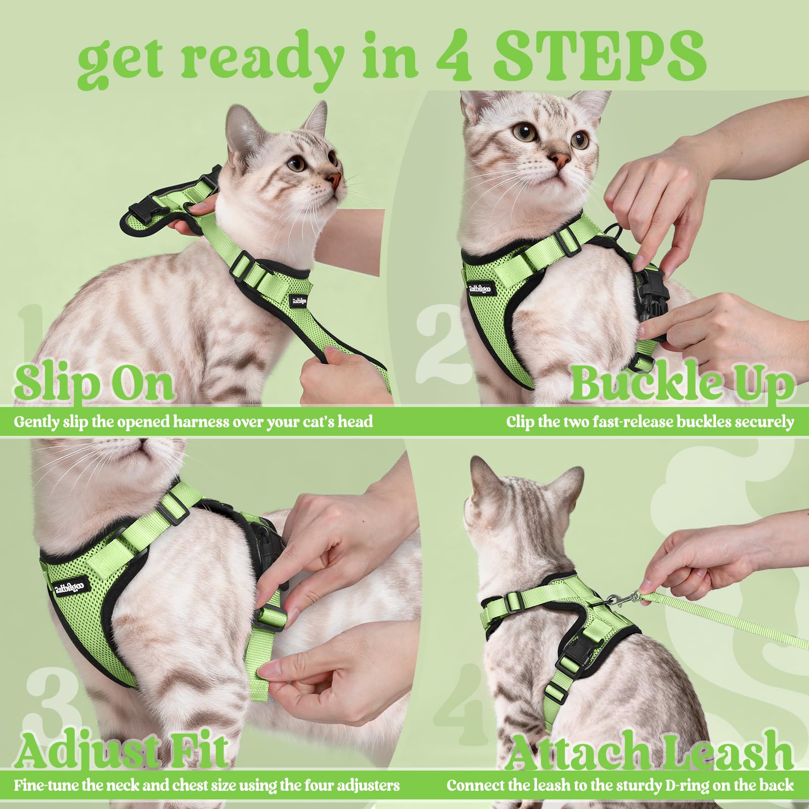 Rabbitgoo light-green color styling suits cats with a stylish look.